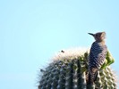 photo thumbnail #2