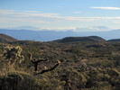 photo thumbnail #2