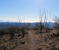 photo thumbnail #4