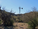 photo thumbnail #5