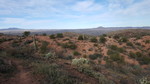 photo thumbnail #15