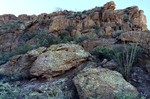 photo thumbnail #1