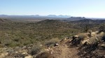 photo thumbnail #4
