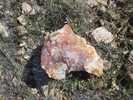 photo thumbnail #4