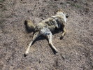 photo thumbnail #6