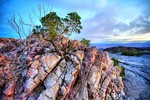 photo thumbnail #12