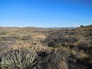 photo thumbnail #6