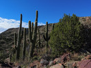 photo thumbnail #3