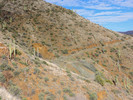 photo thumbnail #15