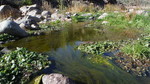 photo thumbnail #13