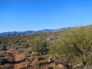 photo thumbnail #1