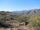 photo thumbnail #4
