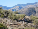 photo thumbnail #5