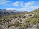 photo thumbnail #9
