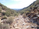 photo thumbnail #10