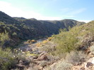 photo thumbnail #12