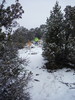 photo thumbnail #4