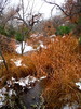 photo thumbnail #11