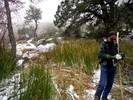 photo thumbnail #12