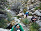 photo thumbnail #9