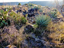 photo thumbnail #5