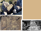 2016-01-02 :3: All Things Richinbar :: FLYING_FLIVER