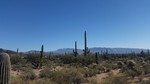 photo thumbnail #9