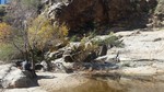 photo thumbnail #8