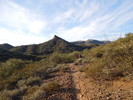 photo thumbnail #5
