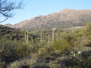 photo thumbnail #6