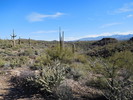 photo thumbnail #8