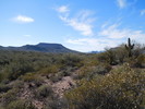 photo thumbnail #15