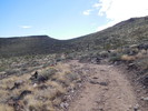 photo thumbnail #12