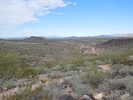 photo thumbnail #13