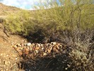 photo thumbnail #1