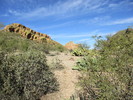 photo thumbnail #8