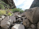 photo thumbnail #12