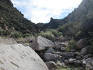 photo thumbnail #14
