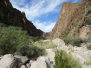 photo thumbnail #6