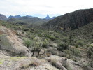 photo thumbnail #9