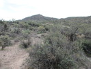 photo thumbnail #11