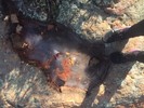 photo thumbnail #4