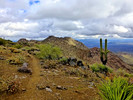 photo thumbnail #6