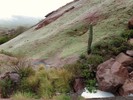 photo thumbnail #13
