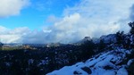 photo thumbnail #5