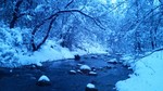 photo thumbnail #12