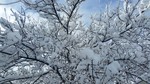 photo thumbnail #15