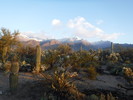 photo thumbnail #1
