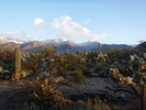 photo thumbnail #2