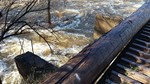 photo thumbnail #1